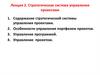 Стратегическая система управления проектами. Лекция 2