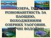 Озера, їх різноманітність за площею. Походженням озерних улоговин. Штучні водойми