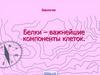 Белки - важнейшие компоненты клеток