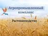 Агропромышленный комплекс. Растениеводство