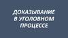 Доказывание в уголовном процессе
