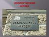 Зоологический музей