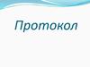 Протокол. Виды протокола