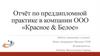Отчёт по преддипломной практике в компании ООО «Красное & Белое»