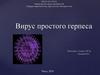 Вирус простого герпеса