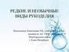 Редкие и необычные виды рукоделия