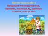 Продукция пчеловодства: мед, прополис, пчелиный яд, маточное молочко, пыльца, воск. Урок 203-204