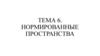 НОРМИРОВАННЫЕ ПРОСТРАНСТВА. ТЕМА 6