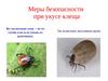 Меры безопасности при укусе клеща