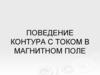 Поведение контура с током в магнитном поле. Лекция 3