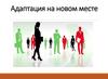 Адаптация на новом месте