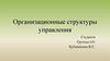 Организационные структуры управления. Линейная организационная структура