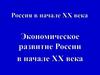 Россия в начале XX века. Экономическое развитие России в начале XX века