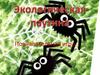Познавательная игра "Экологическая паутина"