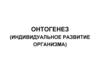 Онтогенез (индивидуальное развитие организма)