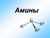 Амины