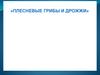 Плесневые грибы и дрожжи. Практическая работа