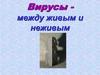 Вирусы - между живым и неживым