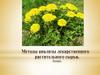 Методы анализы лекарственного растительного сырья  (лекция)