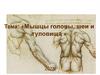 Мышцы головы, шеи и туловища
