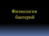 Физиология бактерий
