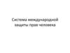 Система международной защиты прав человека. Международная система ООН