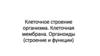 Клеточное строение организма. Клеточная мембрана. Органоиды (строение и функции)