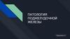 Патология поджелудочной железы. Реферат