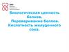 Биологическая ценность белков. Переваривание белков. Кислотность желудочного сока