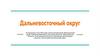 Дальневосточный округ