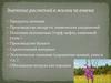 Продукты питания. Производство лекарств, химических соединений