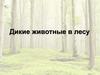 Дикие животные в лесу. Кто здесь лишний?