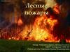 Лесные пожары