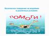 Безопасное поведение на водоёмах в различных условиях