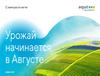 Комплексная защита лука/ чеснока средствами защиты растений АО Фирма «Август»