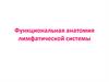 Функциональная анатомия лимфатической системы