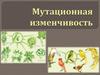 Мутационная изменчивость