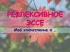Рефлексивное эссе. Моё впечатление о…