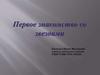 Первое знакомство со звездами