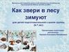 Как звери в лесу зимуют