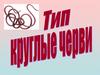 Тип Круглые черви