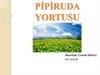 Pi̇pi̇ruda yortusu