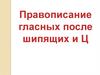 Правописание гласных после шипящих и Ц