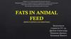 Fats in animal feed