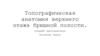 Топографическая анатомия верхнего этажа брюшной полости