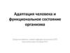 Адаптация человека и функциональное состояние организма