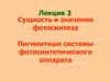 Сущность и значение фотосинтеза. Пигментные системы фотосинтетического аппарата