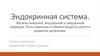 Эндокринная система. Железы внешней, внутренней и смешанной секреции