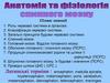 Анатомія та фізіологія спинного мозку