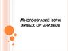Многообразие форм живых организмов